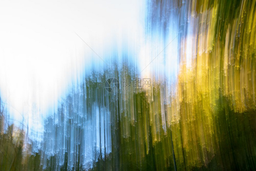 对森林树木进行长期接触或缓慢的百叶窗快速拍摄造成一种情绪化背景图片