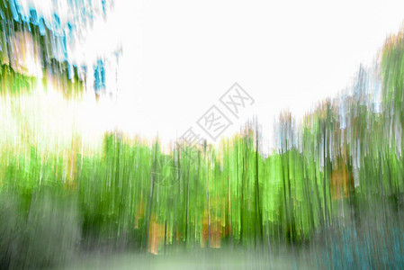 对森林树木进行长期接触或缓慢的百叶窗快速拍摄造成一种情绪化背景图片