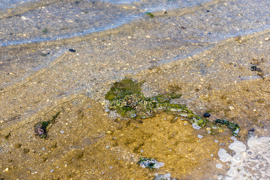 废水环境污染自然肮脏和泡沫水背景污染概念僵化水废环境污染图片