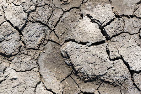 干旱的顶端视图土壤质地裂开干泥背景质地全球暖化干旱的土壤质地裂开干泥背景质地背景