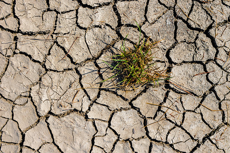 干旱中草的顶部视图土壤质地裂开Dry泥土背景质地GlobalWarming干旱中草地质裂开的土壤背景图片