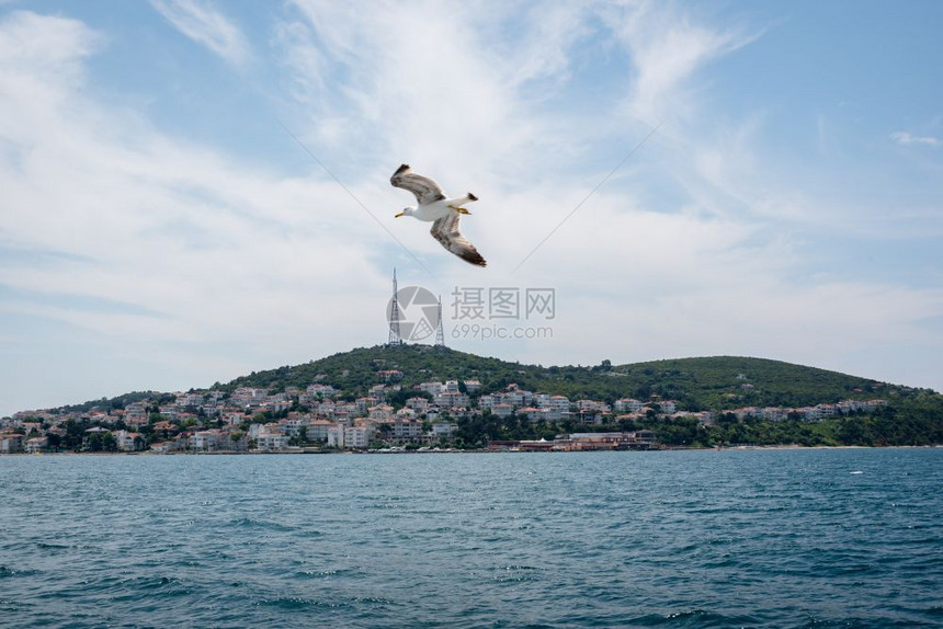 该岛屿是土耳其伊斯坦布尔附近马拉海四个名为PrincesIsland的岛屿之一2017年5月日土耳其伊斯坦布尔附近图片