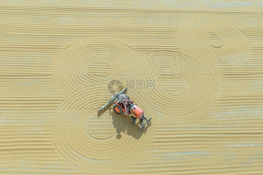 2016年9月3日土耳其加济安泰普工人用传统干燥技术在地上撒播bulgur小麦土耳其加济安泰普bulgur小麦加工图片