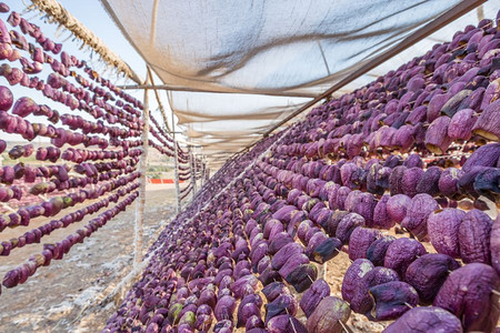茄子在阳光下晾晒加济安泰普土耳其土耳其加济安泰普传统茄子干燥工艺图片