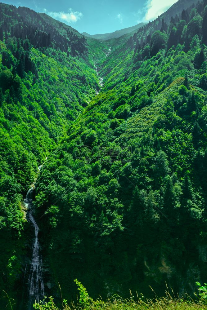 土耳其Rize的Ayder高原景观Ayder谷是夏季旅游的热门目地图片