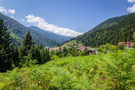 土耳其Rize的Ayder高原景观Ayder谷是夏季旅游的热门目地图片