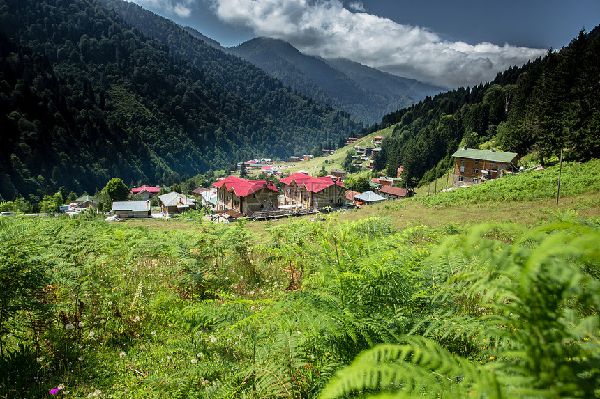 土耳其Rize的Ayder高原景观Ayder谷是夏季旅游的热门目地图片