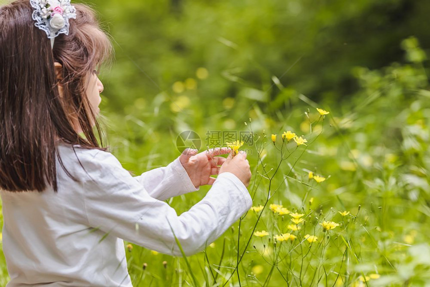 四岁可爱的小女孩在阳光明媚的白天在草地摘野花图片
