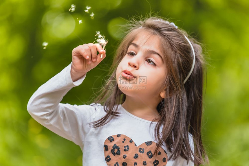 四岁的可爱小女孩在阳光明媚的白天在草地上吹朵花图片