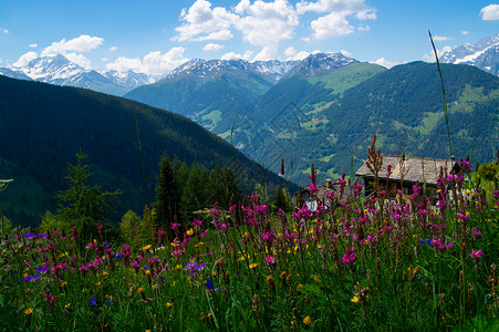 瓦莱斯的瑞士阿尔卑山图片