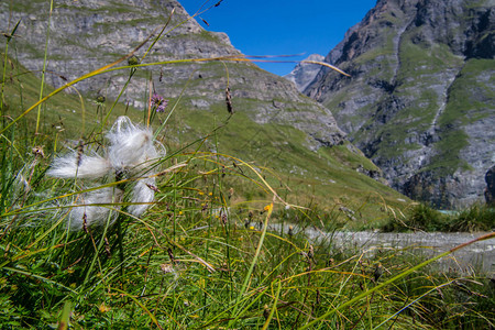 瑞士阿尔卑斯山中高清图片