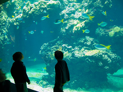 摩纳哥海洋博物馆背景图片