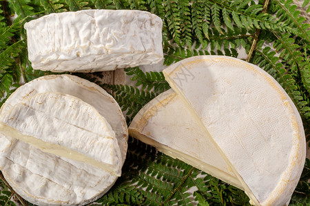 法国奶酪瑞贝罗贡和卡门特高清图片