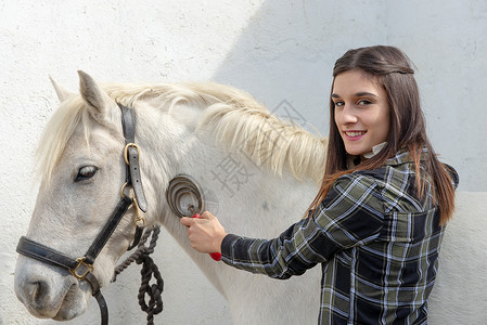 种马白色微笑着的年轻女骑手梳白马背景