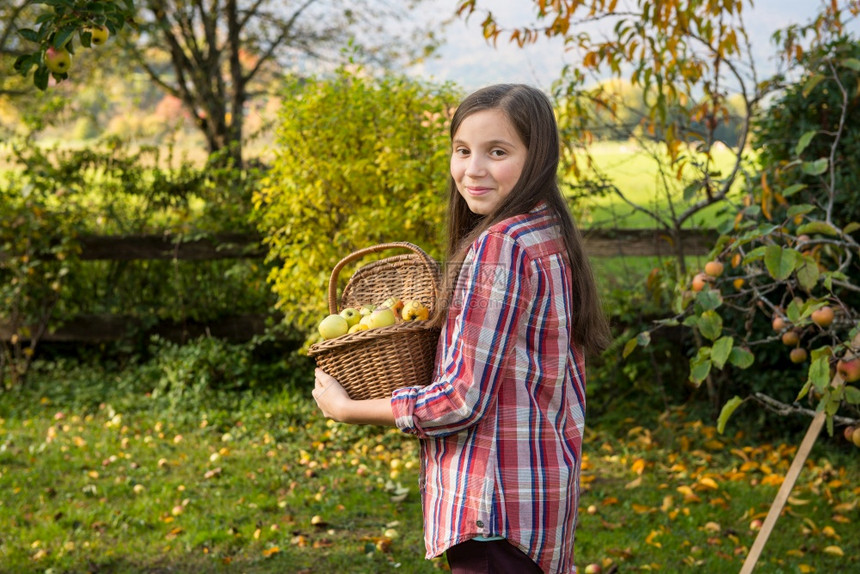 在花园里摘苹果的年轻少女图片