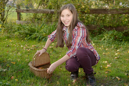 在花园里摘苹果的少女图片