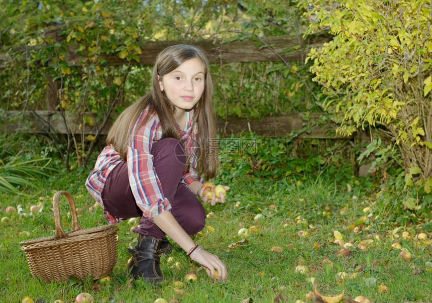 在花园里摘苹果的少女图片