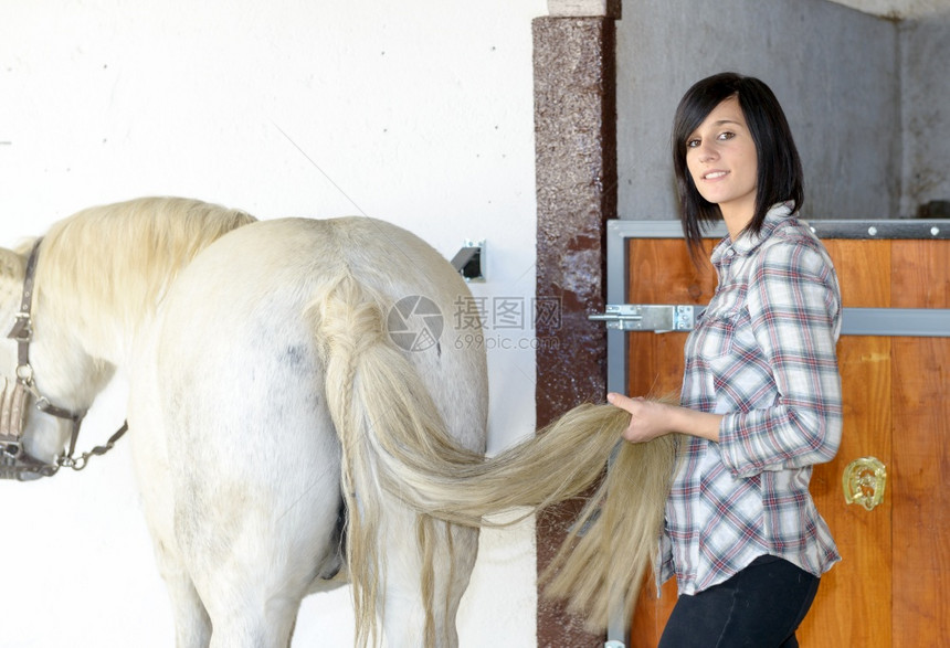 美丽的年轻黑发女孩和马的白图片