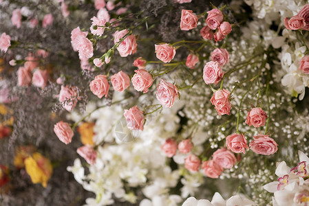白色婚礼花背景和装饰图片