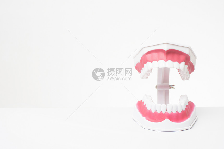 白色背景下人工造型假牙护理示范图片