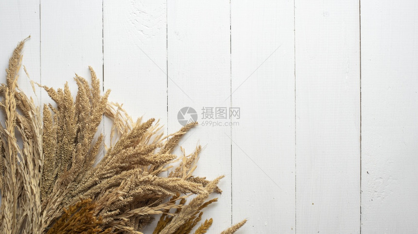 白木材的谷物背景图片