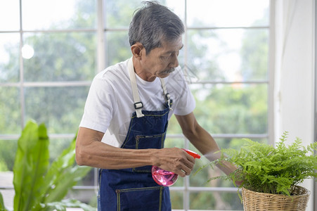 快乐的老年亚洲退休人喷和浇水树在家中享受休闲活动图片