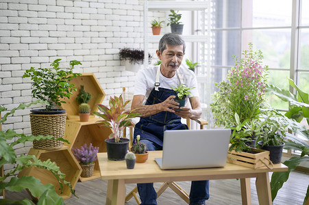 通过直播和他人讲解植物图片