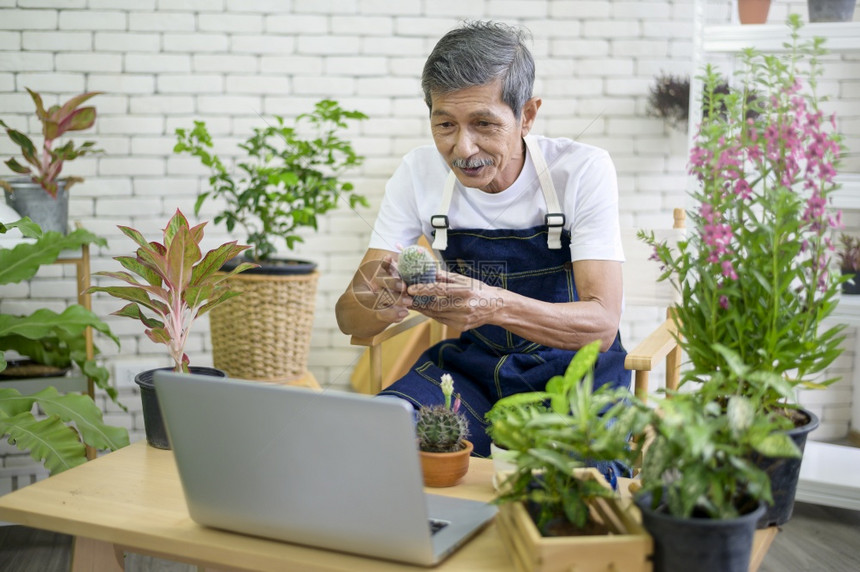 通过直播和他人讲解植物图片