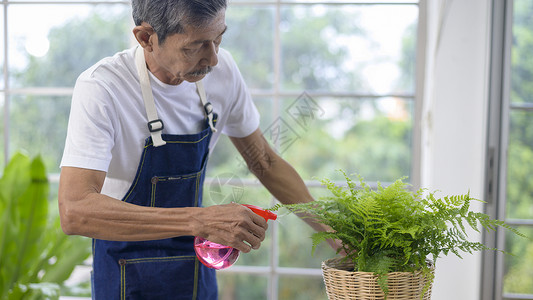 快乐的老年亚洲退休人喷和浇水树在家中享受休闲活动图片