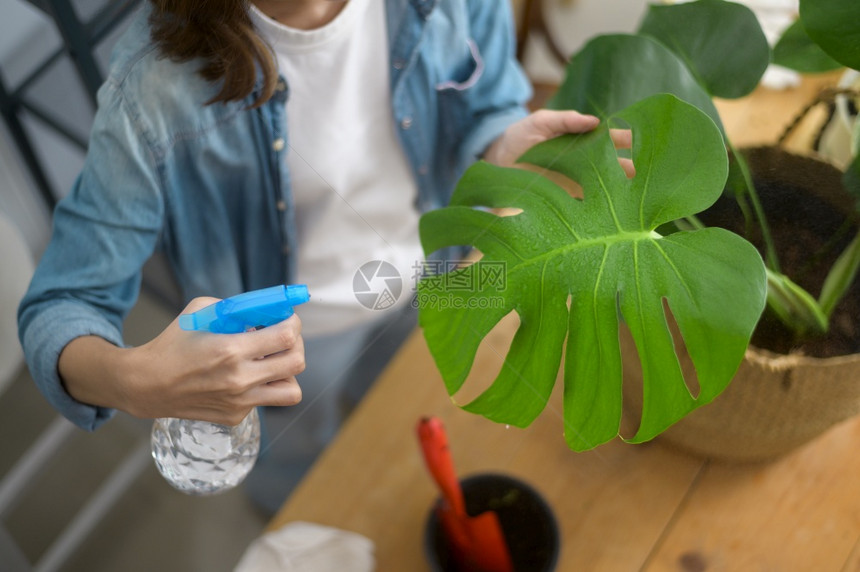 一个快乐的年轻美丽的女人在家里享受和放松的花园休闲活动俯瞰图快乐少妇俯视图在家中的花园里享受放松的休闲活动图片