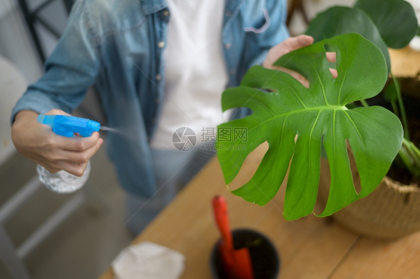 一个快乐的年轻美丽的女人在家里享受和放松的花园休闲活动俯瞰图快乐少妇俯视图在家中的花园里享受放松的休闲活动图片