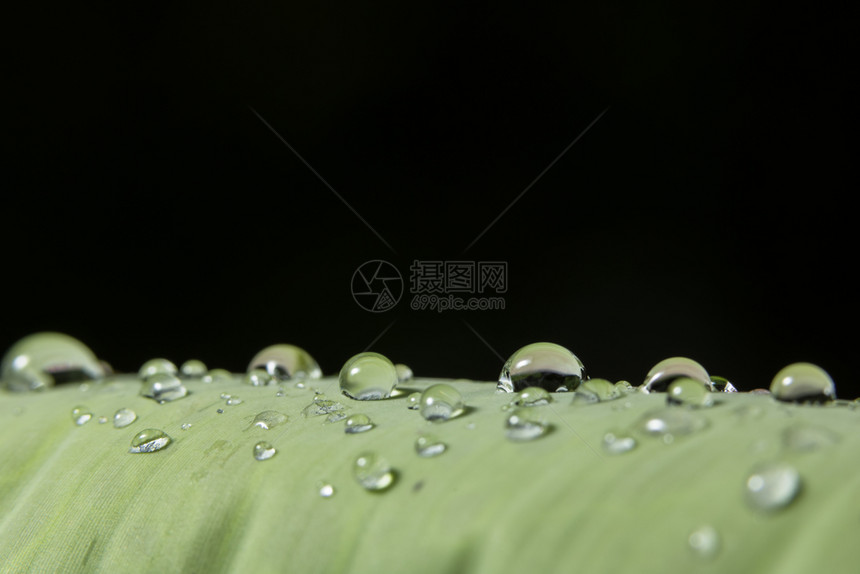 工厂上的背景宏观水滴图片