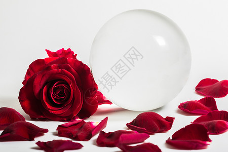 爱情人节背景红玫瑰与水晶球图片