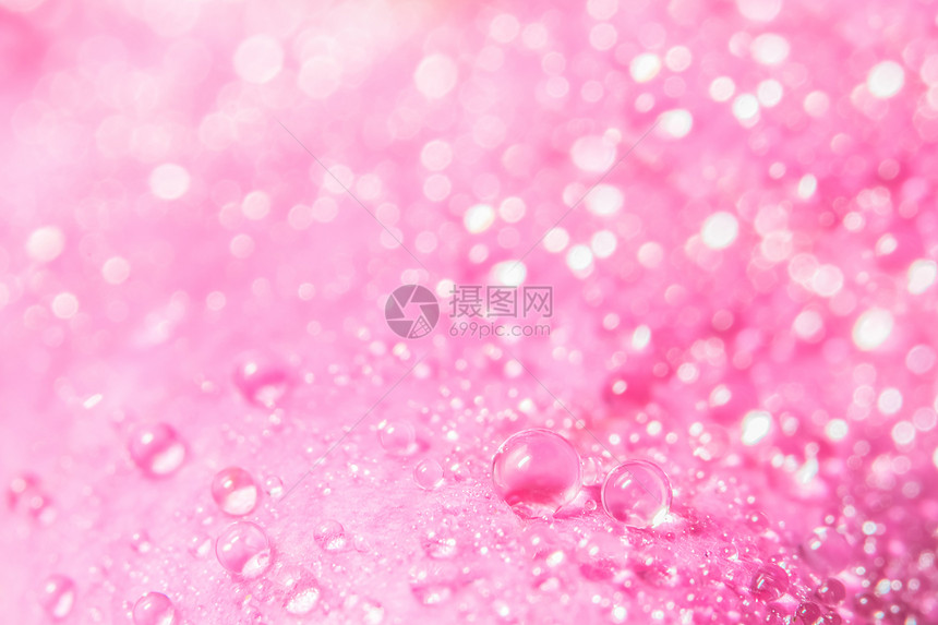 粉红色花瓣上的背景宏观水滴图片