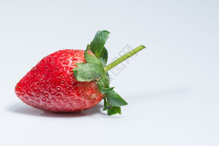 草莓白背景背景图片