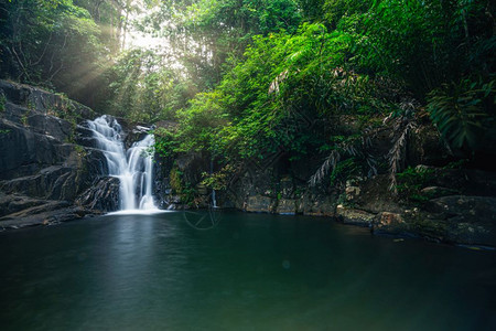 自然风景林瀑布江川全龙图片