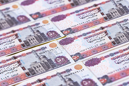 埃及货币埃及镑背景埃及镑埃及镑埃及咖喱埃及镑背景背景图片