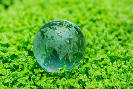 绿色草地环境概念玻璃球背景图片