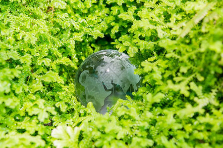 绿色草地环境概念玻璃球图片