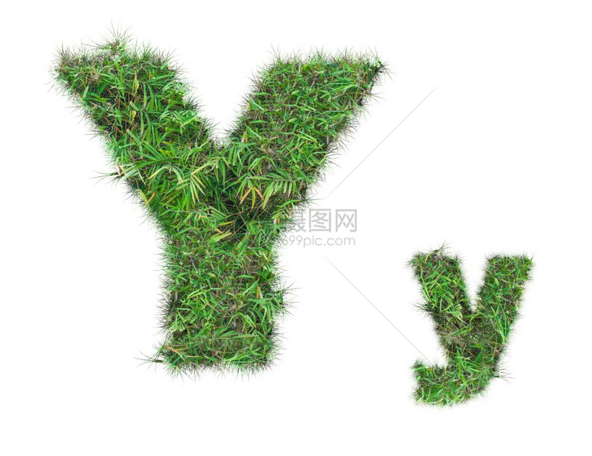 在白色背景上隔离的绿草字母Y图片