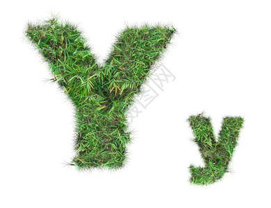 七彩立体几何字母Y在白色背景上隔离的绿草字母Y背景
