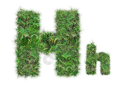 在白色背景上隔离的绿草字母H图片