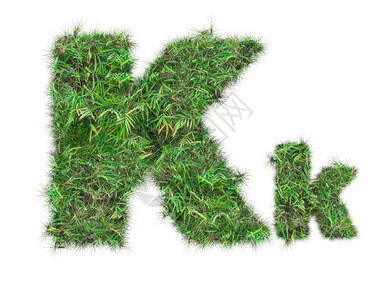 夏天来了字体在白色背景上隔离的绿色草字母KK背景