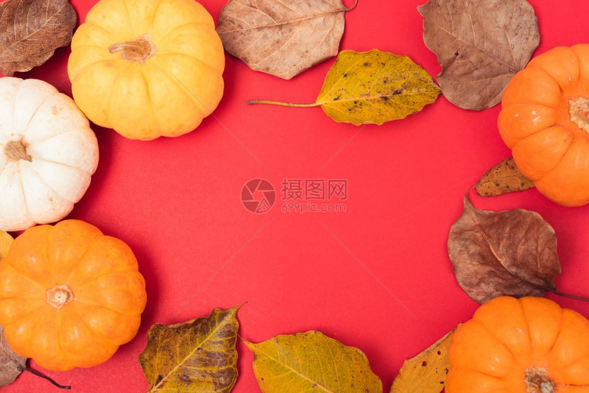 节日秋季万圣和感恩日南瓜和红背景的叶子并有供使用的复制空间图片
