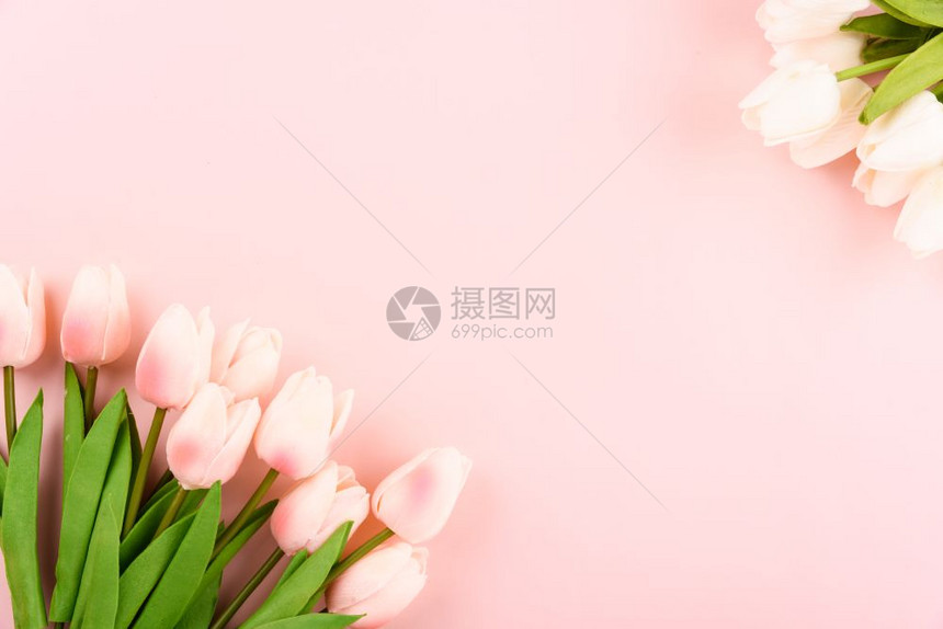 女节快乐母亲概念顶层视野平的粉红背景郁金花复制文本空间图片