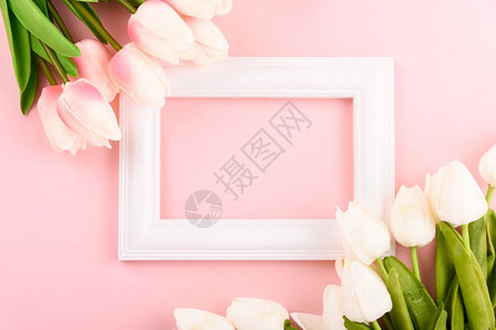 女节快乐母亲概念顶层视野平坦的图利普花和粉红背景的相框复制文本空间图片