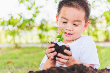 自然世界环境日图片世界环境日概念亚洲可爱的小快乐男孩手在黑土上抓着年轻树准备计划绿色花园背景背景