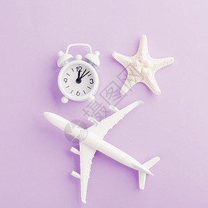 玩具模型飞机和海星闹钟图片