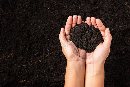 农民妇女手握肥土本和复制空间农业概念园艺拯救世界地球日和手生态环境背景图片