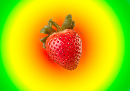 以多彩背景隔绝的草莓以多彩背景隔绝的草莓图片